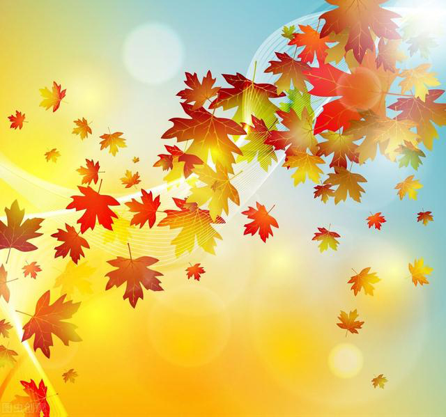 Fall leaves